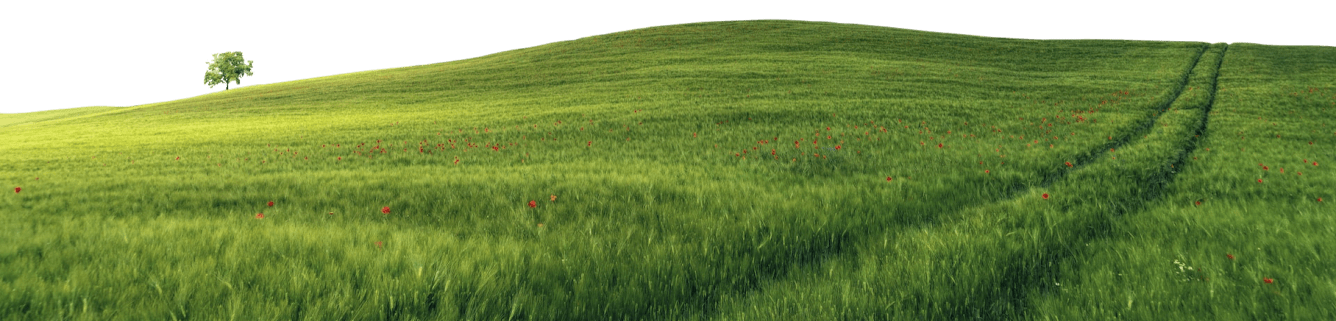 Ground wallpaper background